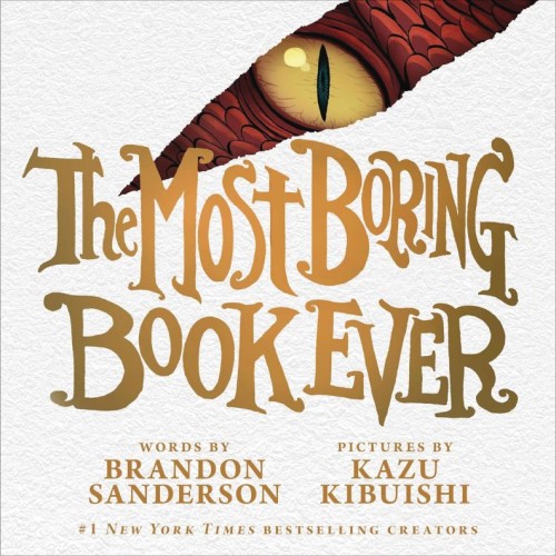 MOST BORING BOOK EVER HC PICTUREBOOK (9781250843661)