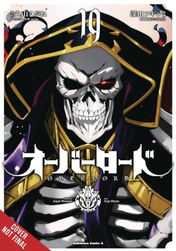 OVERLORD GN VOL 19 (9798855403817)