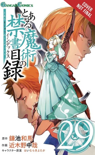 CERTAIN MAGICAL INDEX GN VOL 29 (9781975390402)