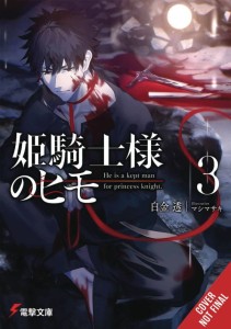 KEPT MAN OF PRINCESS KNIGHT LIGHT NOVEL SC VOL 03