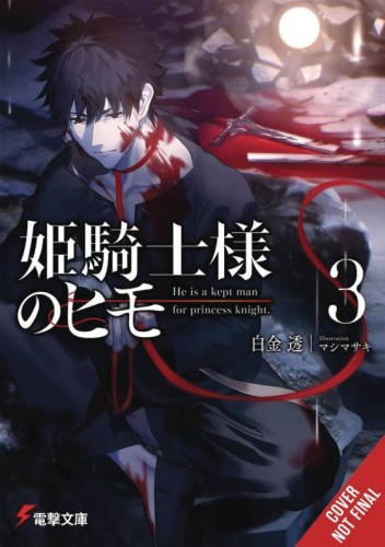 KEPT MAN OF PRINCESS KNIGHT LIGHT NOVEL SC VOL 03 (9798855401264)