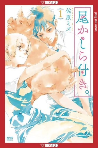 A TAILS TALE GN VOL 01 (9781427878335)