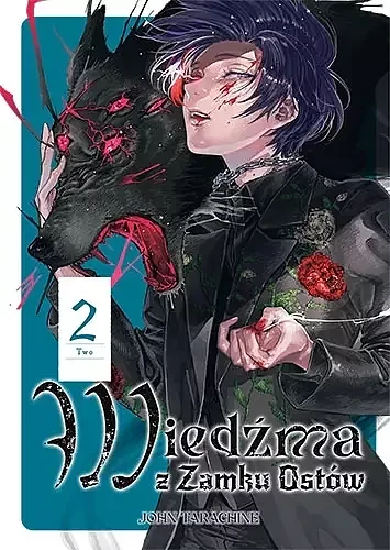Wiedźma z Zamku Ostów 2 (9788382427233)