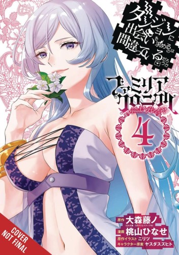 IS WRONG PICK UP GIRLS DUNGEON FAMILIA FREYA TP VOL 04 (9798855402179)