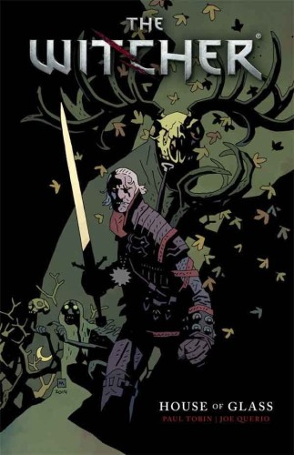 WITCHER TP VOL 01 (9781616554743)