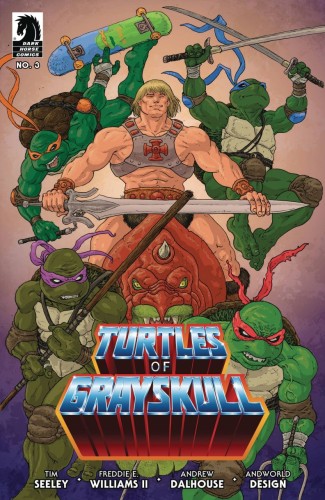 MASTERS OF UNIVERSE TMNT TURTLES OF GRAYSKULL #3 CVR C VILLALOBOS
