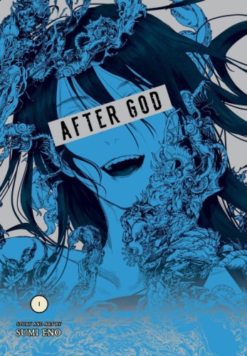 AFTER GOD GN VOL 01 (9781974749706)