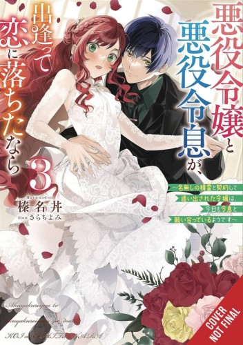 IF VILLAINESS & VILLAIN MET & FELL IN LOVE NOVEL SC VOL 03 (9798855402056)