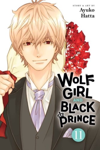 WOLF GIRL BLACK PRINCE GN VOL 11 (9781974751747)