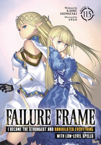 FAILURE FRAME LIGHT NOVEL VOL 11.5 (9798891608771)