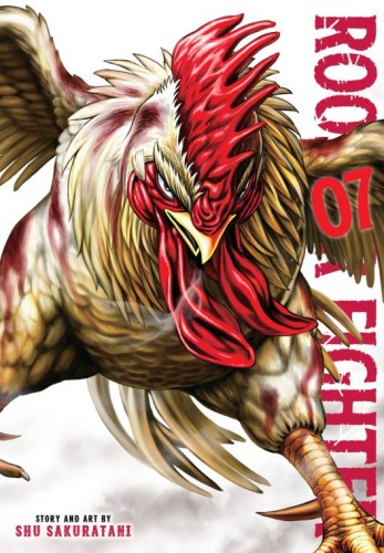 ROOSTER FIGHTER GN VOL 07 (9781974752263)