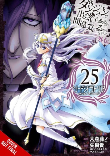 IS WRONG PICK UP GIRLS DUNGEON SWORD ORATORIA GN VOL 25 (9781975388898)