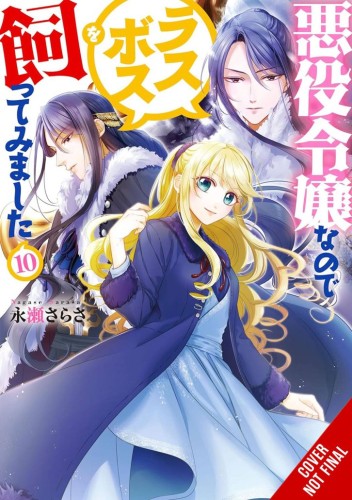 VILLAINESS TAMING THE FINAL BOSS NOVEL SC VOL 10 (9781975378363)