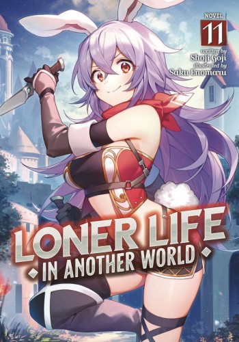 LONER LIFE IN ANOTHER WORLD LIGHT NOVEL SC VOL 11 (9798891605787)