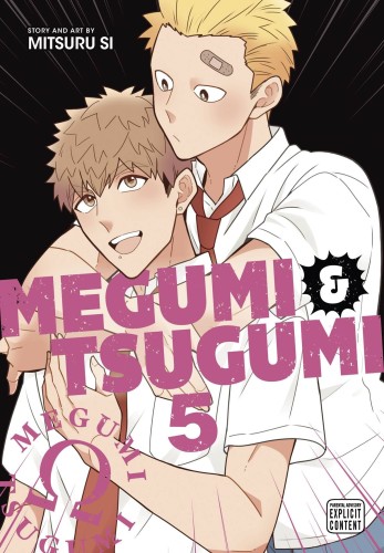 MEGUMI & TSUGUMI GN VOL 05 (9781974752829)