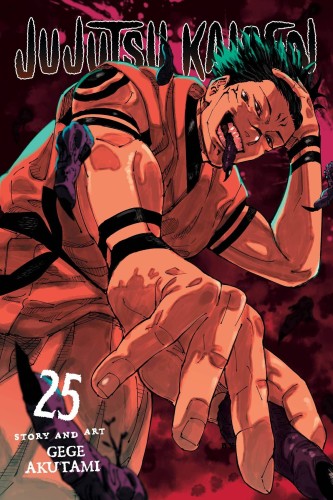 JUJUTSU KAISEN GN VOL 25 (9781974751884)