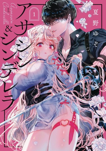 ASSASSIN & CINDERELLA GN VOL 01 (9781646093496)