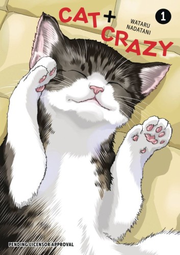 CAT CRAZY GN VOL 01 (9781506747088)