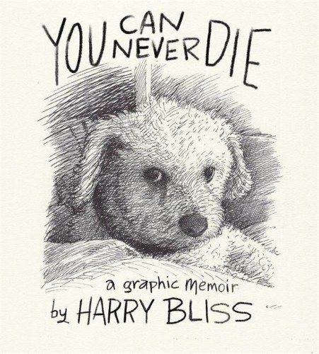 YOU CAN NEVER DIE A GRAPHIC MEMOIR (9781250883681)
