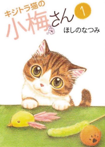 PLUM CRAZY TALES OF TIGER STRIPED CAT GN VOL 01 (9781626925281)
