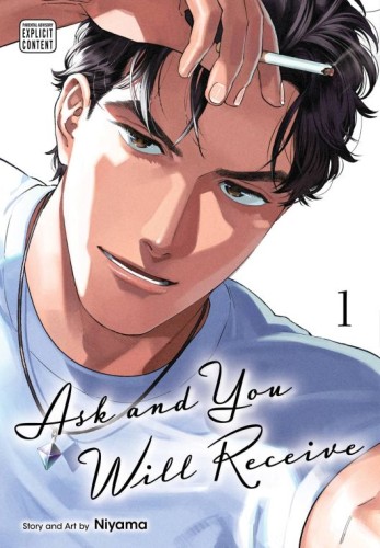 ASK AND YOU WILL RECEIVE GN VOL 01 (9781974752560)