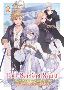 TOO PERFECT SAINT SC LIGHT NOVEL 02