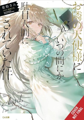 ANGEL NEXT DOOR SPOILS ME ROTTEN LIGHT NOVEL VOL 08.5 (9798855408867)