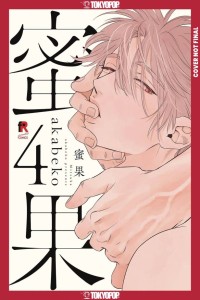 MITSUKA GN VOL 04