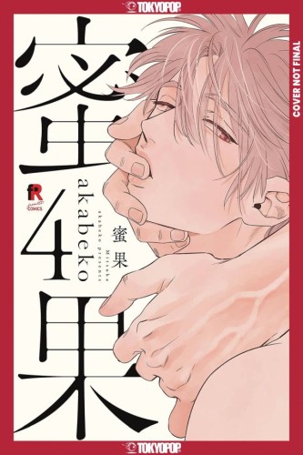 MITSUKA GN VOL 04 (9781427880918)