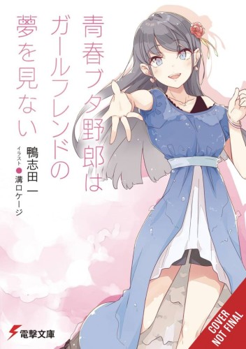 RASCAL DOES NOT DREAM OF GIRLFRIEND LIGHT NOVEL SC (9798855418293)