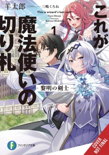 THIS IS THE WIZARDS SECRET WEAPON LIGHT NOVEL SC VOL 01 (9798855408690)