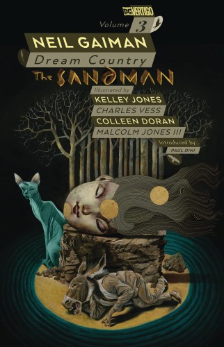 SANDMAN TP VOL 03 DREAM COUNTRY 30TH ANNIV ED (9781401285487)