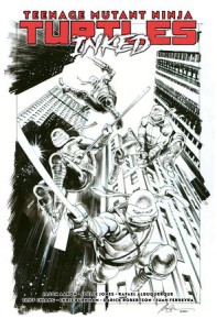 TEENAGE MUTANT NINJA TURTLES HC VOL 01 RETURN INKED DLX ED