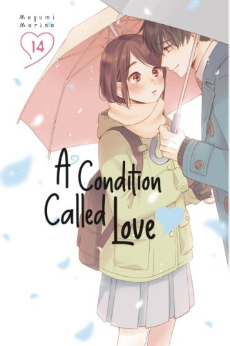 A CONDITION OF LOVE GN VOL 14 (9798888772676)