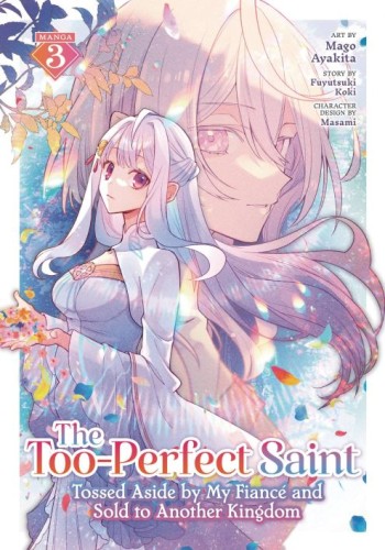 TOO PERFECT SAINT GN VOL 03 (9798893733662)