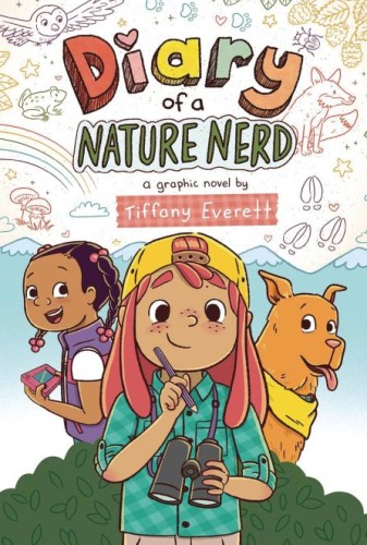 DIARY OF A NERD GN (9781339012384)