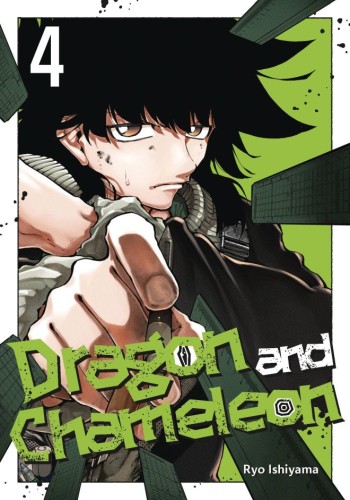 DRAGON & CHAMELEON GN VOL 04 (9781646093540)