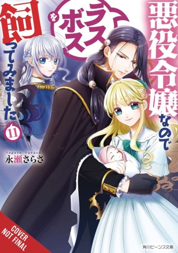 VILLAINESS TAMING THE FINAL BOSS NOVEL SC VOL 11 (9781975378387)