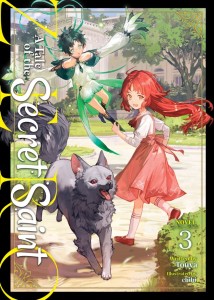 A TALE OF THE SECRET SAINT ZERO (LIGHT NOVEL) VOL 03 TP
