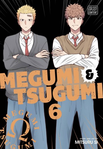 MEGUMI & TSUGUMI GN VOL 06 (9781974755509)