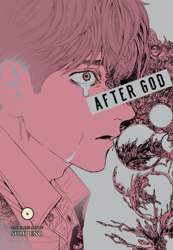 AFTER GOD GN VOL 06 (9781974758302)