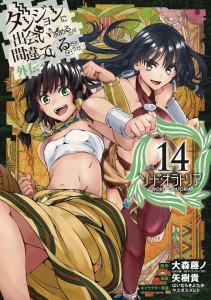 IS WRONG PICK GIRLS DUNGEON SWORD ORATORIA NOVEL SC VOL 14