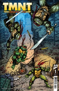 TEENAGE MUTANT NINJA TURTLES JOURNEYS #1 CVR B