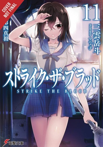 STRIKE THE BLOOD LIGHT NOVEL SC VOL 11 (9780316442145)
