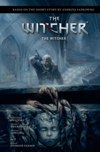 ANDRZEJ SAPKOWSKI'S THE WITCHER: THE WITCHER HC (9781506726977)