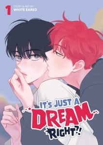 IT'S JUST A DREAM... RIGHT?! (COMIC) VOL 01 TP