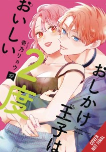 DOUBLE THE TROUBLE TWICE AS NICE GN VOL 02