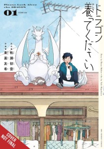 PLEASE LOOK AFTER THE DRAGON GN VOL 01