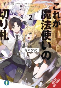 THIS IS THE WIZARDS SECRET WEAPON LIGHT NOVEL SC VOL 02