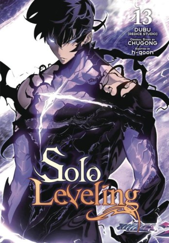 SOLO LEVELING GN VOL 14 (9798400904646)